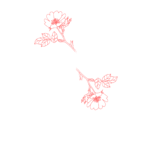 Lahib Landscaping